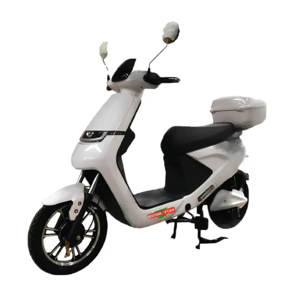 Bicicleta Eléctrica S10